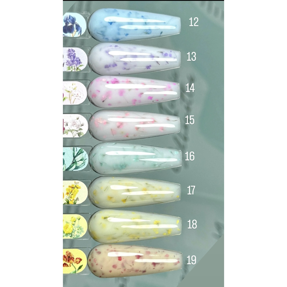 Купить XO nails Flowers 15ml.  Гель моделирующий с сухоцветами.. - По Лучший Ценам в РБ. |на dixnail.by ✅